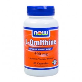 L-ORNITINE 500