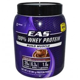 100% WHEY PROTEIN 908 GR